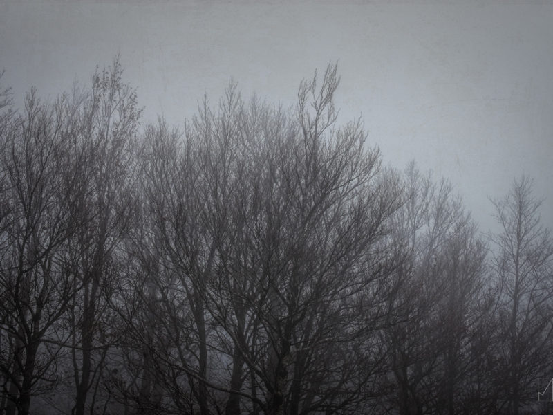 Fog. Capracotta 31 Ottobre 2016. Fog. Capracotta 31 Ottobre 2016.