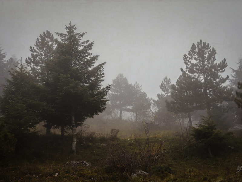 Fog. Capracotta 31 Ottobre 2016. Fog. Capracotta 31 Ottobre 2016.