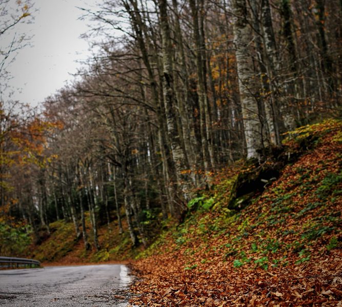 Autumn. Capracotta 31 Ottobre 2016. Autumn. Capracotta 31 Ottobre 2016.